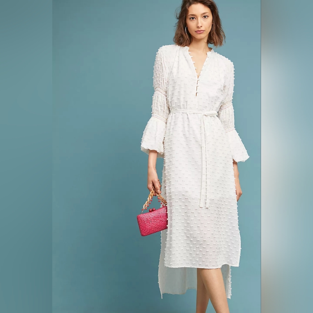 Anthropologie Where Mountains Meet Branson swiss dot embroidered high-low dress